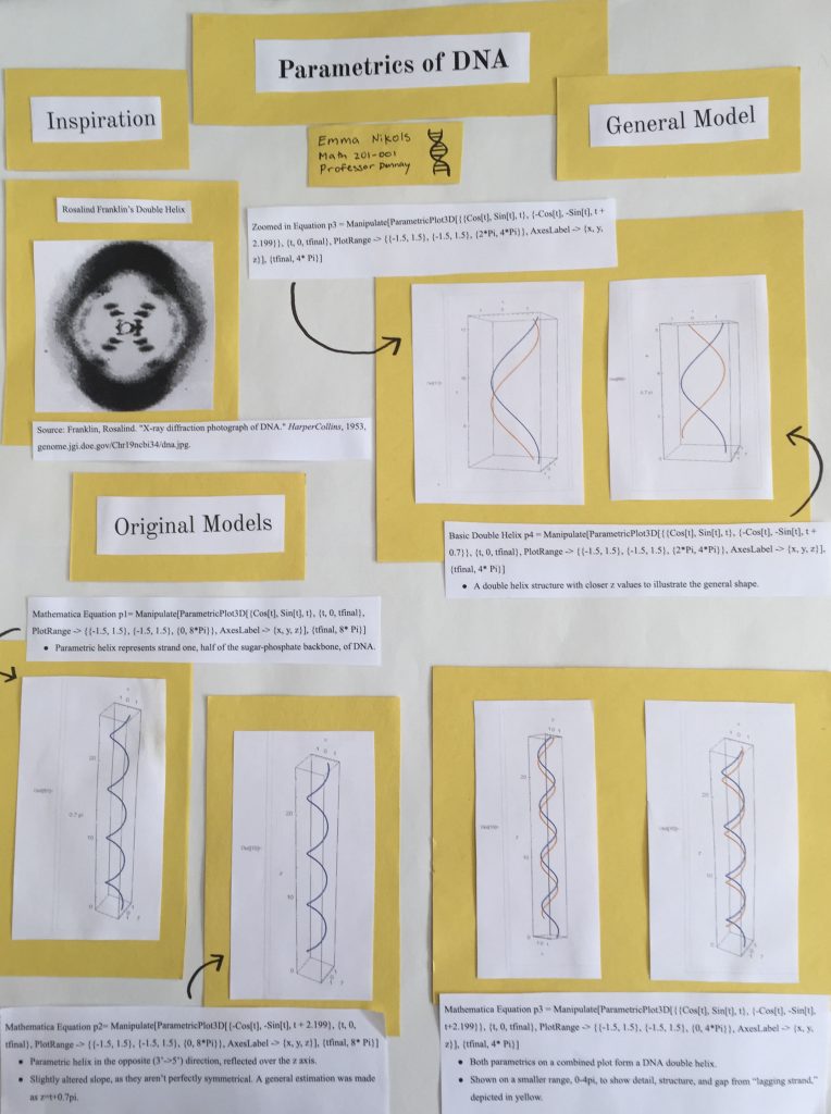 Parametrics of DNA